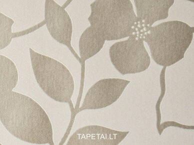 Tapetai 721300 1