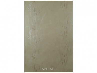 Tapetai 486438