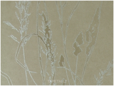 Tapetai 486438 1
