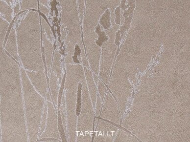 Tapetai 486438 1