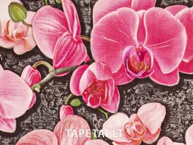 Tapetai 2354-10 1