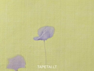 Tapetai 495034 1