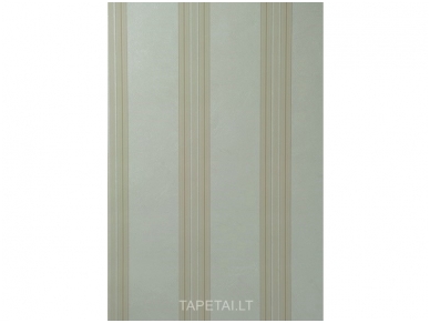 Tapetai 497212