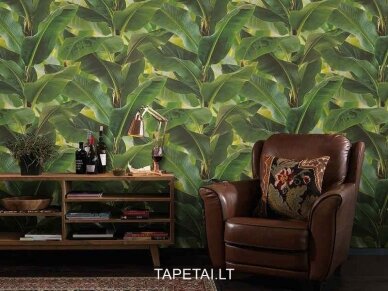 Tapetai 473407 4
