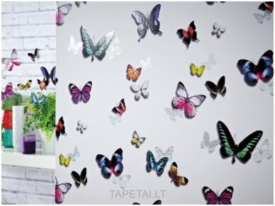Tapetai 690400 3