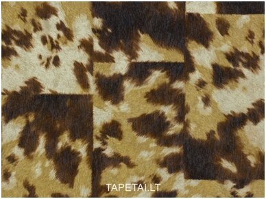 Tapetai 498233 2