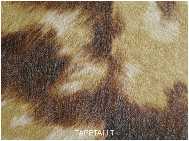 Tapetai 498233 1