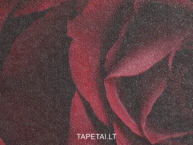 Tapetai 933208 1 Tapetai 933208 1