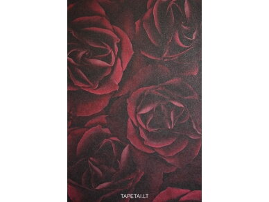 Tapetai 933208