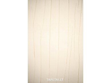 Tapetai 63214