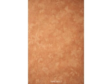 Tapetai 5523-58 Tapetai 5523-58