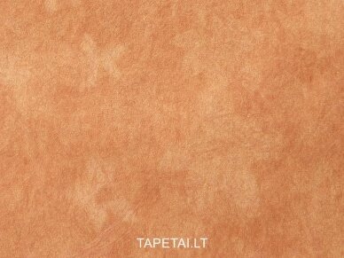 Tapetai 5523-58 1 Tapetai 5523-58 1