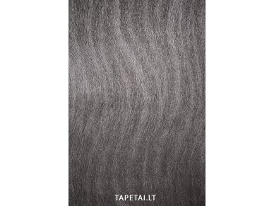 Tapetai 56313