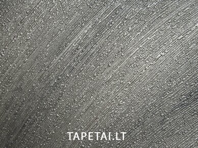 Tapetai 56309 1 Tapetai 56309 1
