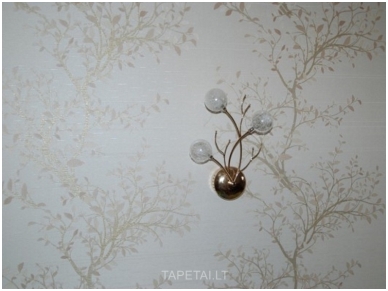 Tapetai 5635 3
