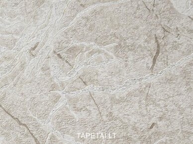 Tapetai 9108-01 1 Tapetai 9108-01 1