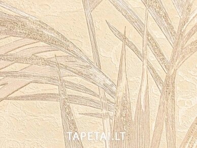 Tapetai 5571 1