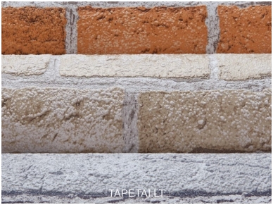Tapetai 583-20 3