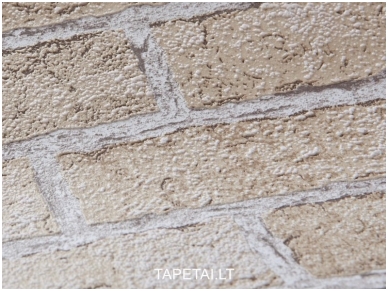 Tapetai 583-20 1