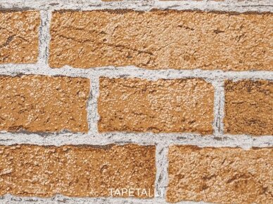Tapetai 583-23 1