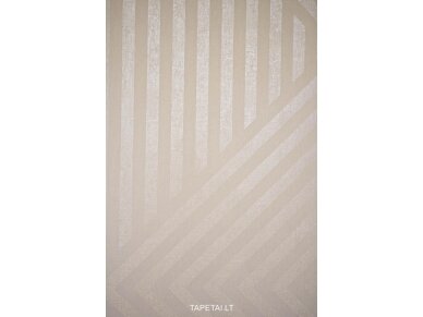 Tapetai 6167-22