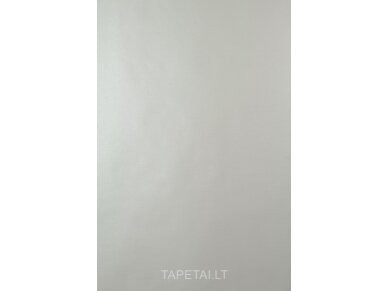 Tapetai 672527