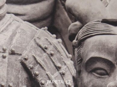 Tapetai 70507 1 Tapetai 70507 1