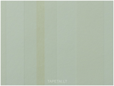 Tapetai 706314 1