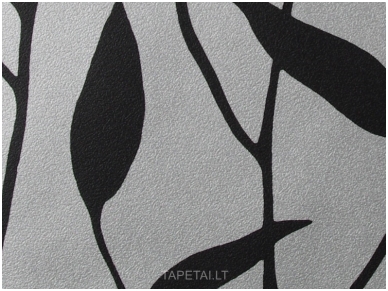 Tapetai 713107 1