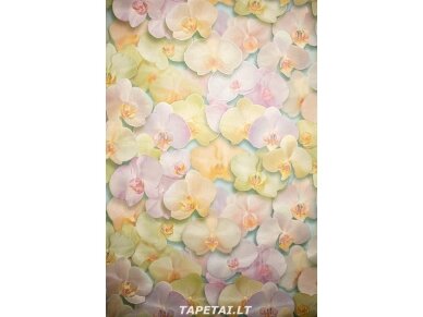 Tapetai 71421-35 Tapetai 71421-35
