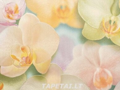 Tapetai 71421-35 1 Tapetai 71421-35 1