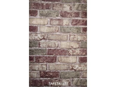 Tapetai 5522-04