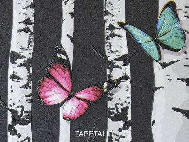 Tapetai 74309 1 Tapetai 74309 1