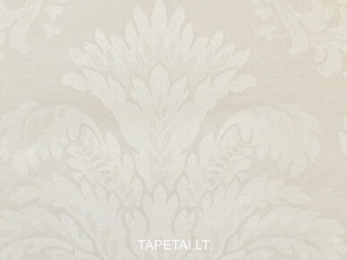 Tapetai IWB00613 1