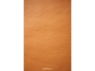 Tapetai 760057