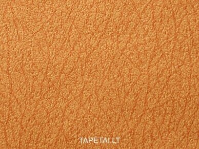 Tapetai 760057 1