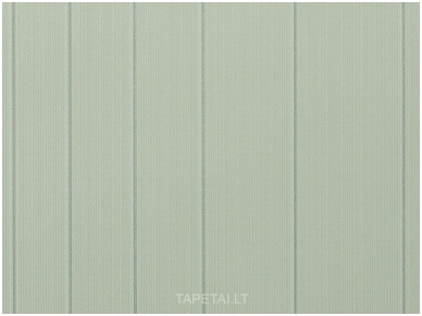 Tapetai 765519 1