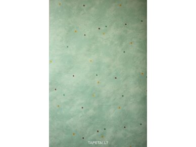 Tapetai 7974-21