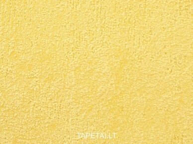 Tapetai 1846-65 1