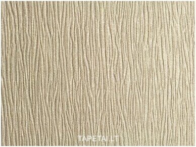 Tapetai 931AS31 1