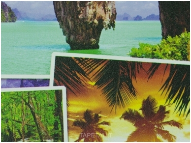 Tapetai 81304 1 Tapetai 81304 1