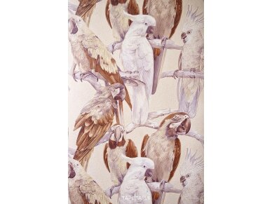 Tapetai 823615 Tapetai 823615