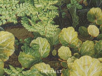 Tapetai 824704 1