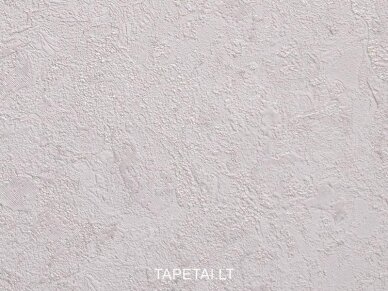 Tapetai 1585-04 1