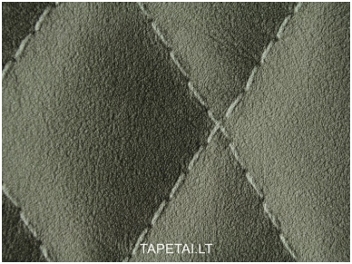 Tapetai 861631 1