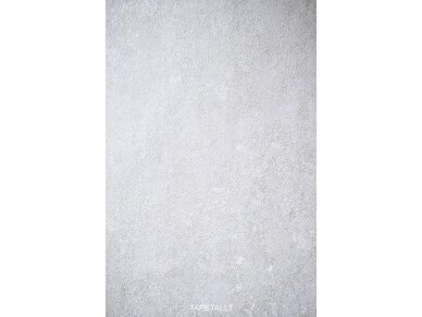 Tapetai 1301-10 Tapetai 1301-10