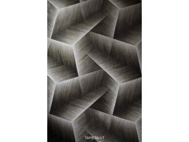 Tapetai 1628-10