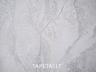 Tapetai 421ST20 1