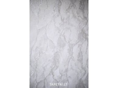 Tapetai 421ST20 Tapetai 421ST20