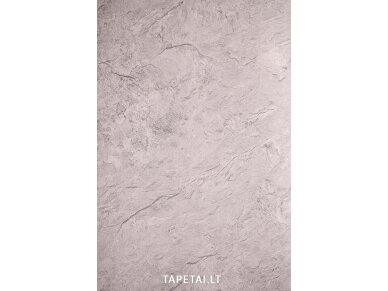 Tapetai 920903 Tapetai 920903